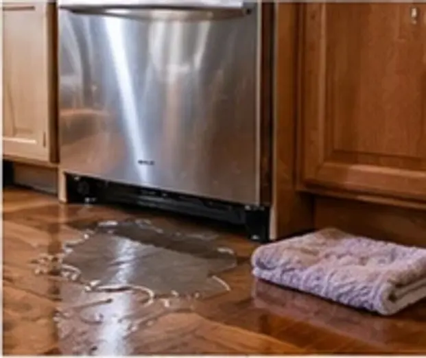 Dishwasher Leaking? How to Find the Source and Stop the Water