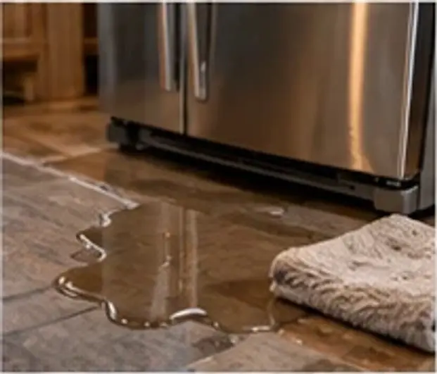 Refrigerator Leaking Water? How to Find the Source and Stop It