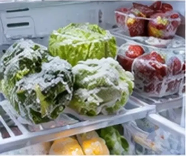 Refrigerator Too Cold and Freezing Food? Causes and Fixes