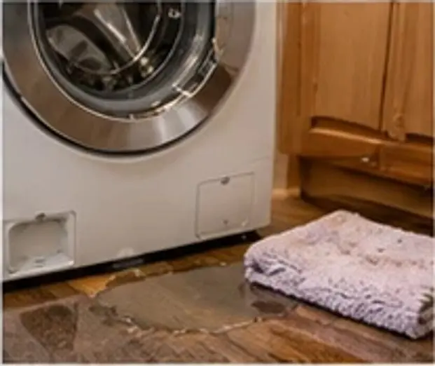Washer Leaking Water? How to Find the Leak and Fix It